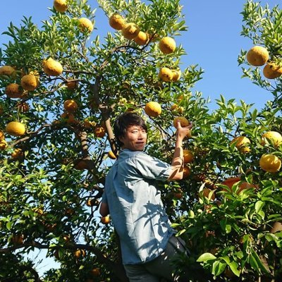 artkysp's profile picture. 伊豆の港町、稲取にある3軒の古民家リノベ宿「湊庵so-an」を経営。こころの風が稲取に向かって吹いた時にいらしてください。ご予約: https://t.co/3MKXVw9zBG