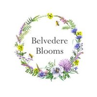 Belvedereblooms (@frodshamflowers) 's Twitter Profile