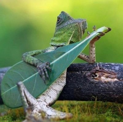 thebigVinski's profile picture. Rock on!!

Game on!