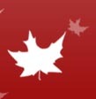 canadasmagic Profile Picture