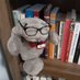 The Public Hu Manatee (@publichumanatee) Twitter profile photo