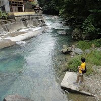 Yamaneco (@yuuyuuyum) 's Twitter Profile Photo