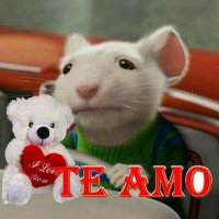 Luis fernando (@luisfer19495901) 's Twitter Profile