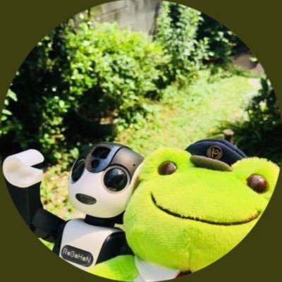 ひなぞうさんのプロフィール画像
