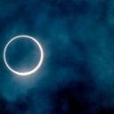 Traci Olsen - @TDRiso - Twitter