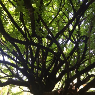 Erne5t1's profile picture. inspirar a las personas a hacer lo que les inspira