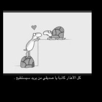 ممممم (@hcynvdg6ius3bdx) 's Twitter Profile