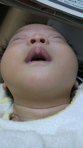 hira_mayu's profile picture. 