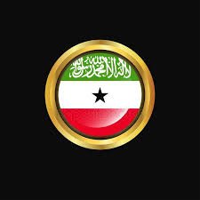 The Rural Education Committee is dedicated to the people of Somaliland. Their culture, development, education, and politics.