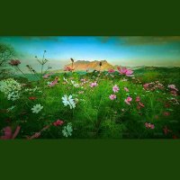 umutvar (@ummutvar) 's Twitter Profile