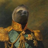 Mandaslowrian(@slothses) 's Twitter Profileg