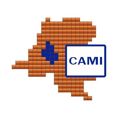 Cadastre Minier RD Congo Profile