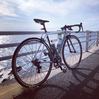 AirWalk0421's profile picture. 愛媛の漁師、泉です。4姉妹の父。アクアリウム。釣り。自転車。いろいろ好きです。よろしくお願いします。