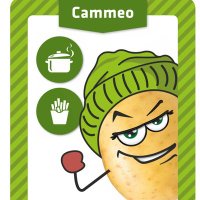 geersing Potato Specialist B.V. (@geersingpotato) 's Twitter Profile