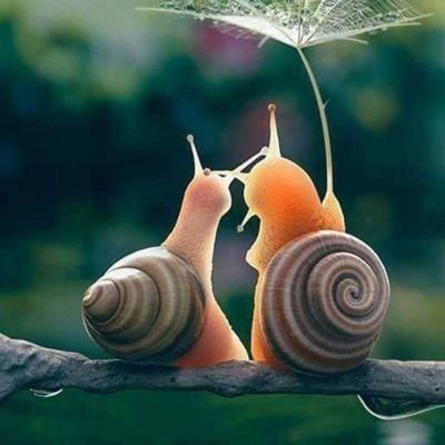 Trabelsihanoun1's profile picture. 