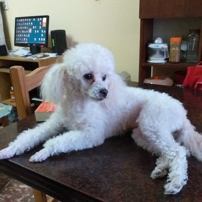 sdls911's profile picture. 