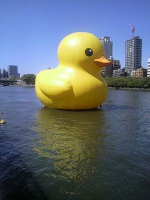 メガネ✕レモンサワー=ほろ酔いけんけん
好きなもの:銭湯、サウナ、ビール、レモン、犬、女性ボーカルバンド