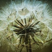 Silk Rocks (@silkrocks) 's Twitter Profile Photo Silk Rocks (@silkrocks) 's Twitter Profile Photo