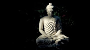 Ikebana for the mind ••• poetry, Zen, philosophy as a way of life ••• ecology • psychology • meditation • haiku • Buddhism • senryu