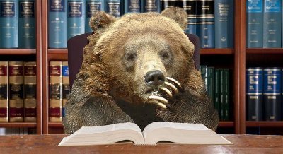 booknotes8's profile picture. me read
me tweet