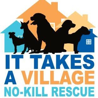 Non-kill rescue center at 1417 N. Stockwell. Working as one to help homeless animals irrespective of location or circumstance https://t.co/sHxOCTZ5E8