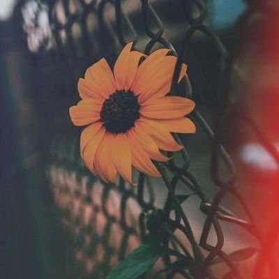 Ig º L ª R Iglr6 Twitter