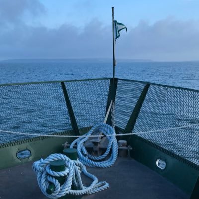 kevinbr34293666's profile picture. Party all night.