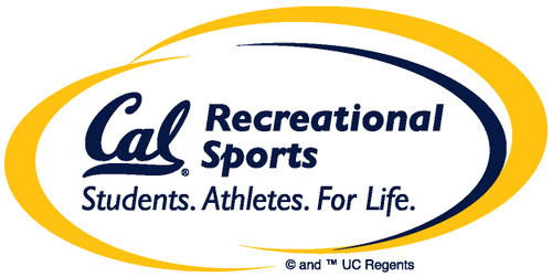 calyouthcamps's profile picture. 