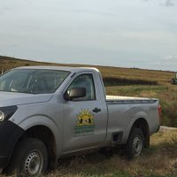 SOFORUTA (@claudiorostagn2) 's Twitter Profile Photo