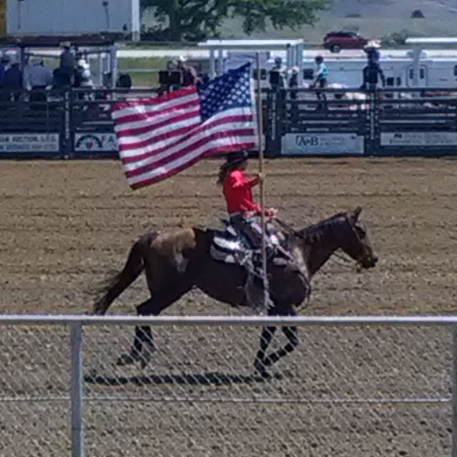 Just an old guy that's been to one to many rodeos.  Can't say I've seen it all, I am surprised everyday. But that's what makes life exciting.