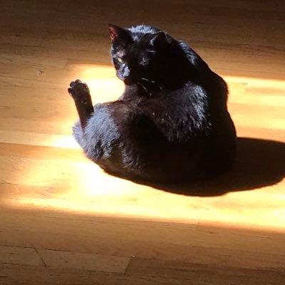 jennsweb's profile picture. Hi I'm Jenn, owner of Jenn's Web out of Marblehead MA. I tend to work on web sites.