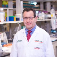 Bruce R. Kava (@drkmenshealth) 's Twitter Profile