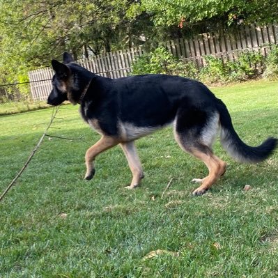 JyotsnaCMukher1's profile picture. 