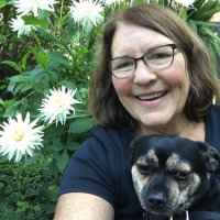 Julie Bedell (@juliebedell) 's Twitter Profile