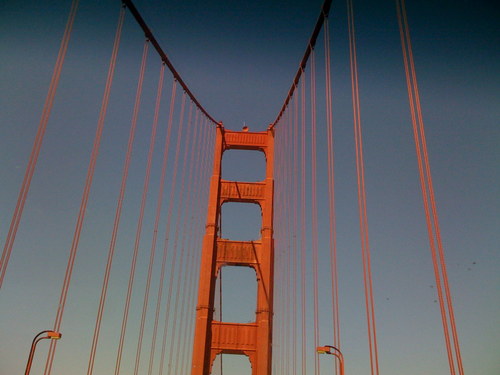 GapGirlSF's profile picture. 