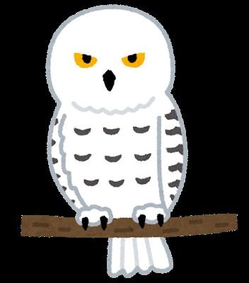 q1wwmdbNZGl6p16's profile picture. よろしくね！