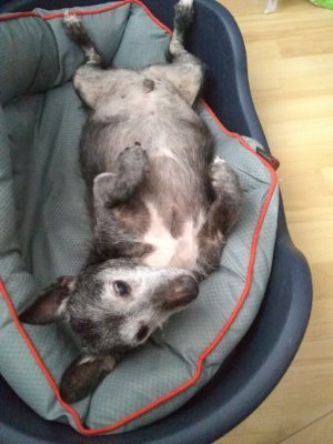 LucyLaing's profile picture. 