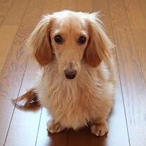 casvalmelsto's profile picture. ひっそりと生きてます 今季14戦5勝9敗