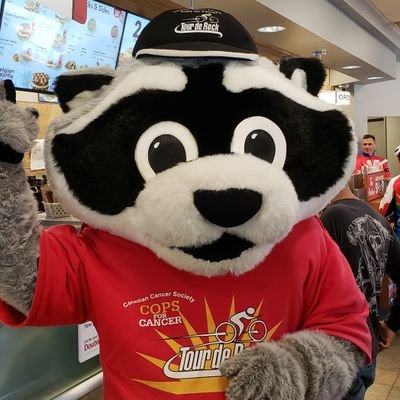 Official Twitter account for Ryder the Raccoon. I'm your furry friend helping Cops for Cancer - Tour de Rock create a future where no kid fears cancer.