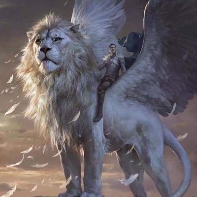 chan_ness's profile picture. Liberate Hong Kong! Revolution of our time!
HongKongers, resist!
#FollowbackHongKong