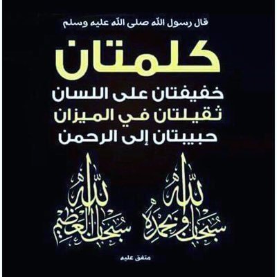 امير الفخر والمجد التليدُ وفرد الدهر من كرم وجودُ