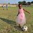 buhle45787657's profile image
