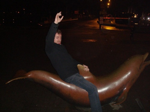 dtcollins's profile picture. Makin the internet work