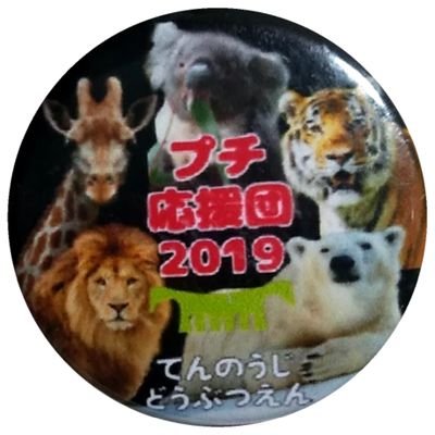 天王寺動物園が好きすぎる🤯
天王寺のどの子かひとりでも知ってもらうきっかけになれたら嬉しい🙌
投稿する写真は撮った当日じゃないものもあります。