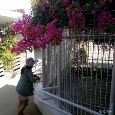 23weimei's profile picture. 