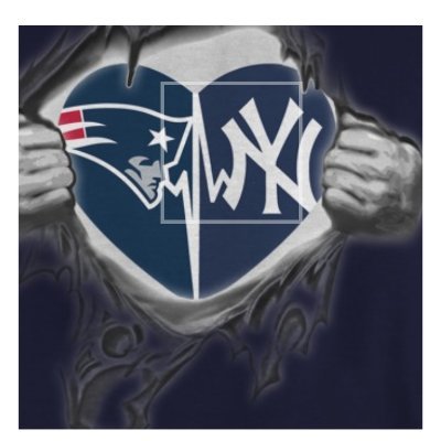 Yankees/Patriots fan 4ever