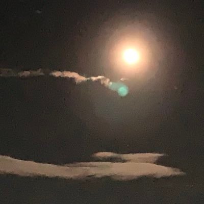 aikawamimi's profile picture. 夜行性２０↑ 当分低浮上です。多分…。