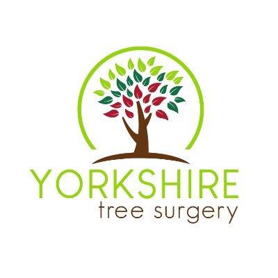 A family run, well established Tree Surgery Company.Providing reliable & high quality tree care & maintenance in Hull & Yorkshire. Contact James on 07739140957
