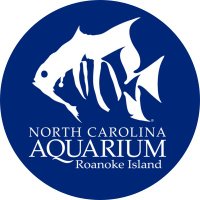 NC Aquarium on Roanoke Island(@NCAquarium_RI) 's Twitter Profile Photo