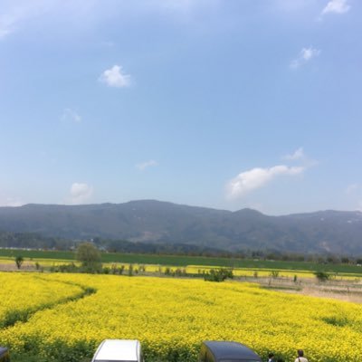 QHvQAUiFpHMdE4c's profile picture. こんにちはー！